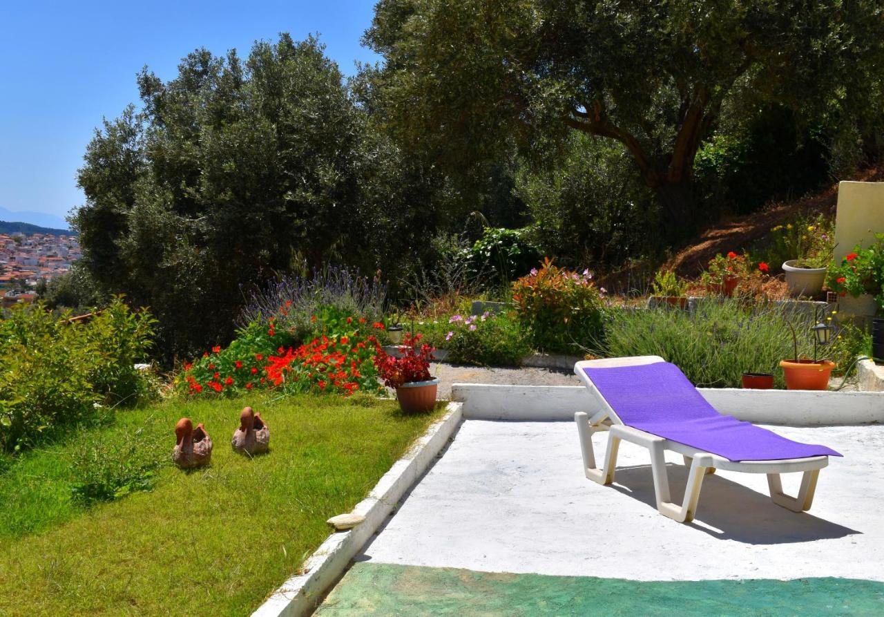 Villa Krini Skiathos Exterior photo