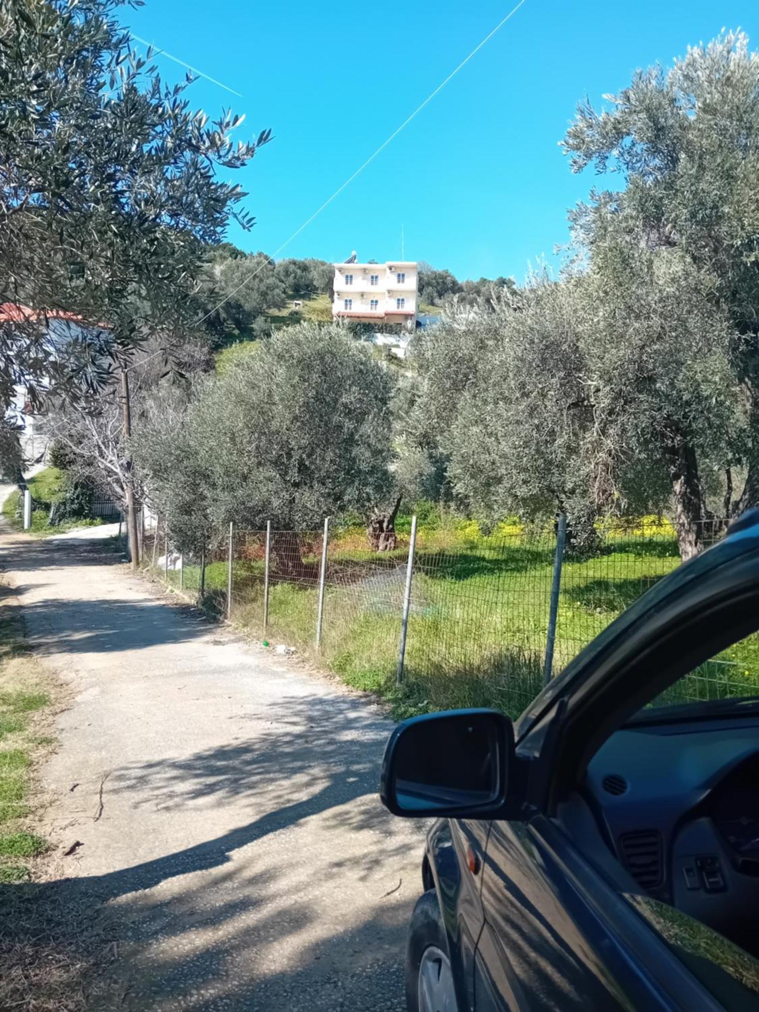 Villa Krini Skiathos Exterior photo