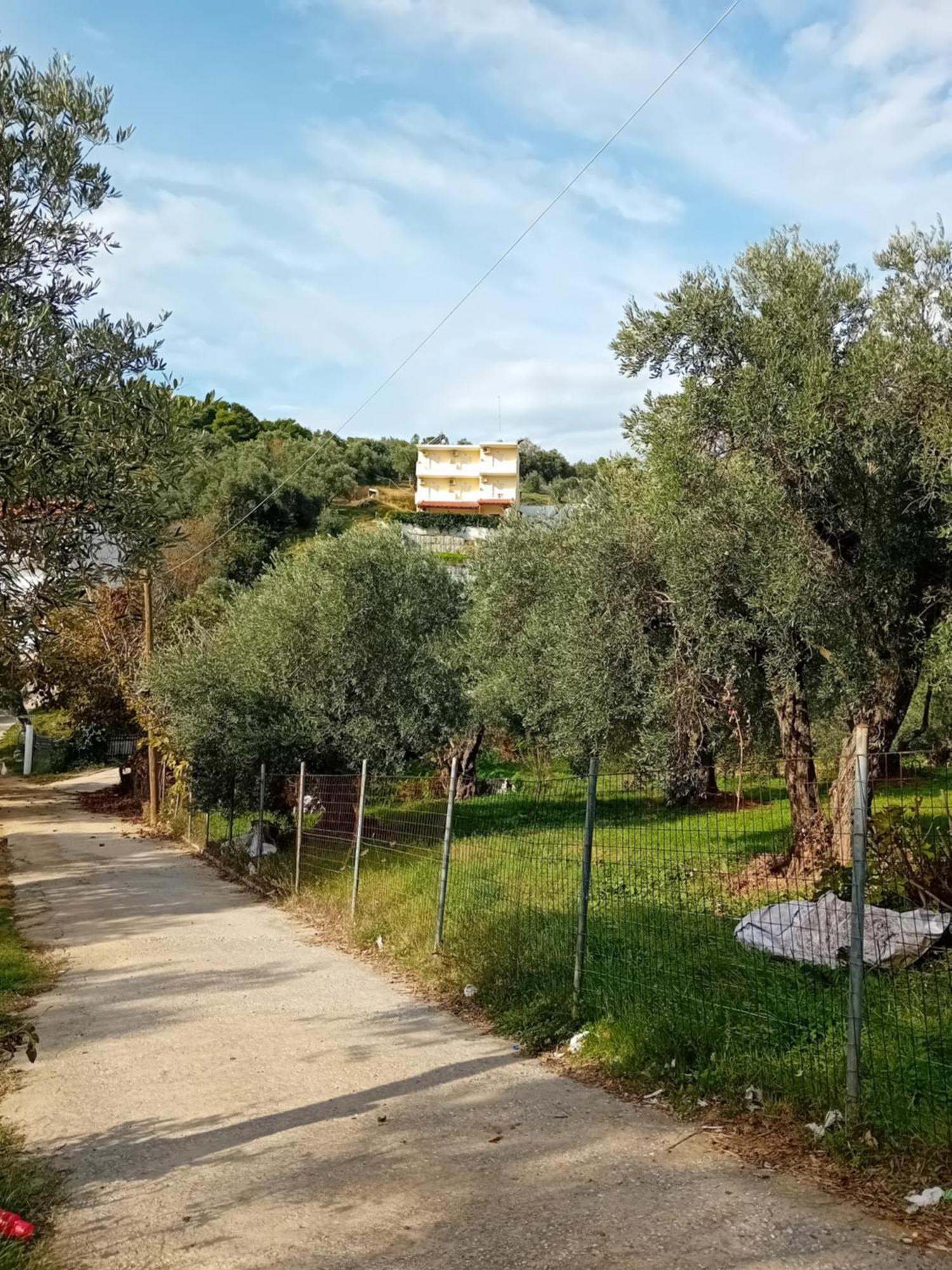 Villa Krini Skiathos Exterior photo