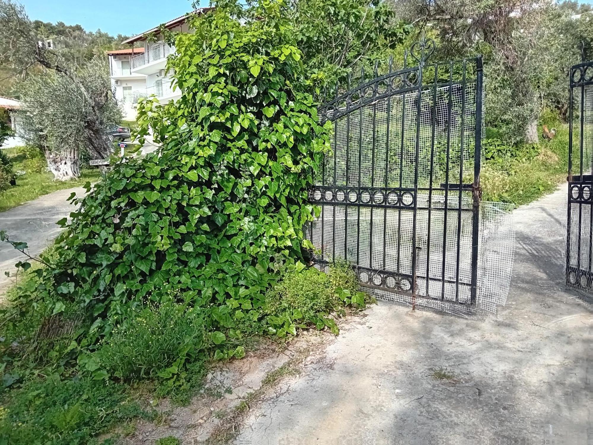 Villa Krini Skiathos Exterior photo